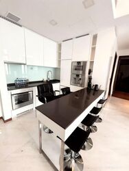 The Scotts Tower (D9), Condominium #625005221